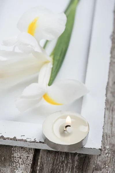 Kerze und Irise auf weißem Hartholz — Stockfoto