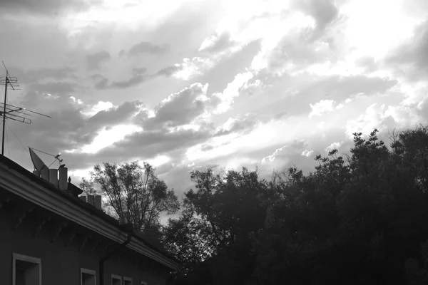 Clouds on a background of the treetops — Stock Photo, Image