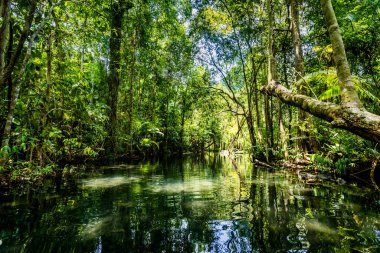 Tayland 'ın güneyindeki Surat Thani' de yer alan 