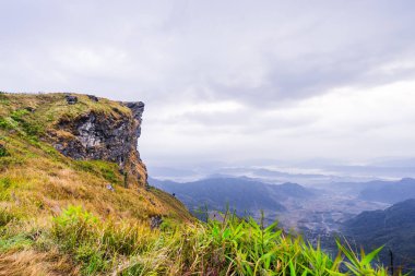 Chaing Rai, Tayland 'daki Phu Chi Fa Orman Parkı' nın güzel manzarası..