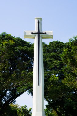 Yeşil ağaçları ile çapraz