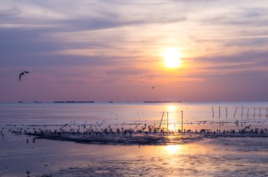 Kuş uçan ile günbatımı manzara