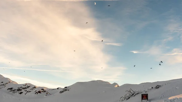 Zimowy Krajobraz Pokrytych Śniegiem Gór Ptakami Latającymi Niebie Odbiór Rochers — Zdjęcie stockowe