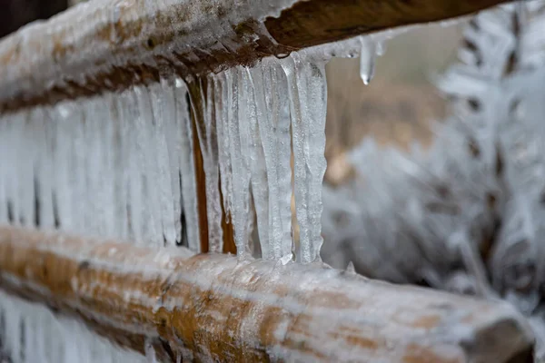 Madera cubierta de hielo en invierno. Friburgo, Suiza. — Foto de Stock