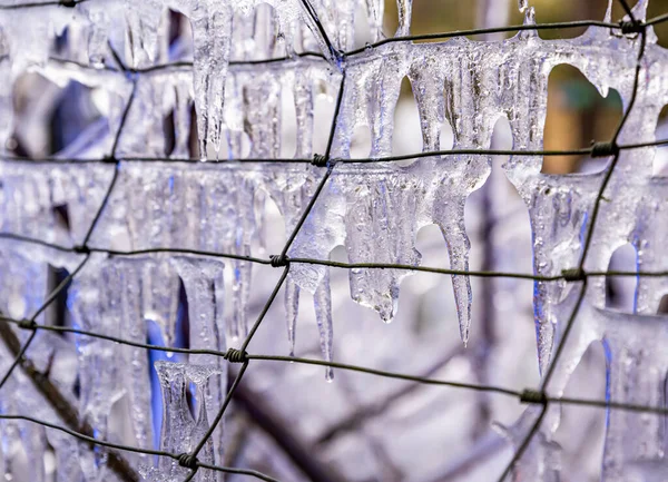 Alambre de púas congelado. Primer plano de una valla cubierta de hielo en invierno. — Foto de Stock