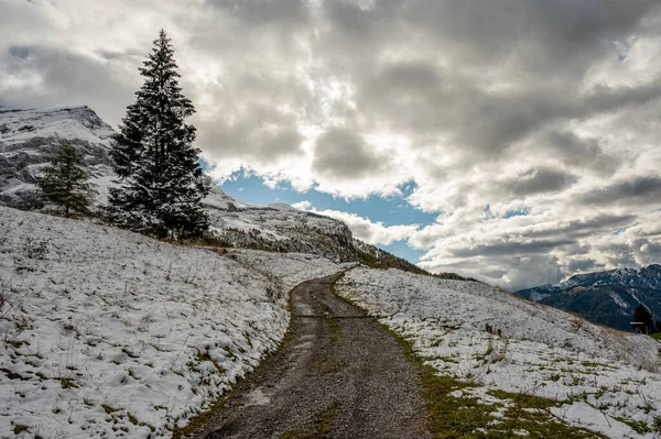 Kış manzarası karla kaplı zemin, ağaçlar, gökyüzü ve bulutlar. Buzullar 3000, Diableretler İsviçre 'de. — Stok fotoğraf