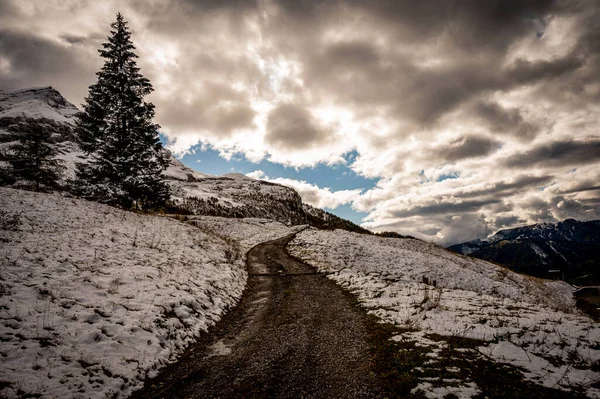 Kış manzarası karla kaplı zemin, ağaçlar, gökyüzü ve bulutlar. Buzullar 3000, Diableretler İsviçre 'de. — Stok fotoğraf