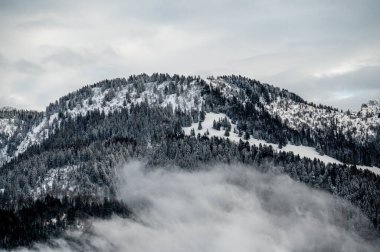Dağlar karla kaplıydı. Kışın sakin bir sahne. Les Pleiades, İsviçre. Doğada güzellik.