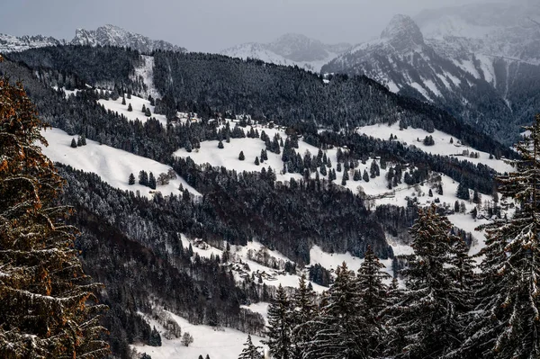 Pokryte Śniegiem Góry Spokojna Scena Zimą Les Pleiades Szwajcaria Piękno — Zdjęcie stockowe