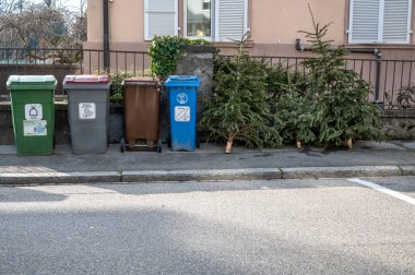 Lozan, Vaud, İsviçre - 07.01.2021: Tatilden sonra çöp tenekesinin yanındaki kaldırımda terk edilmiş Noel ağaçları. Ekoloji ve atık kavramı.