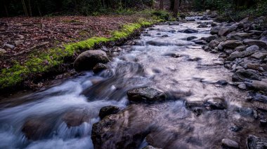 Kayaların üzerinden akan su. Doğada güzellik. Uzun pozlama. Lozan, İsviçre. Sakin sahne.