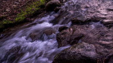 Kayaların üzerinden akan su. Doğada güzellik. Uzun pozlama. Lozan, İsviçre. Sakin sahne.