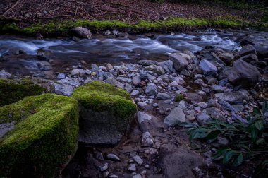 Kayaların üzerinden akan su. Doğada güzellik. Uzun pozlama. Lozan, İsviçre. Sakin sahne.