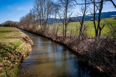Idyllic manzara. İsviçre 'deki nehir, ağaçlar ve tarım arazisi manzarası. Sakin sahne.