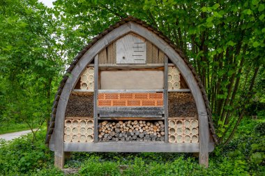 Bahçedeki ahşap böcek evi. Doğal ortamda böcek oteli. İsviçre 'deki böcek oteli. Böcekler için barınak ya da sığınak.