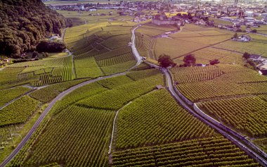 Vaud Canton, İsviçre 'deki üzüm bağları ve dağlı Aigle Kalesi' nin hava manzarası..
