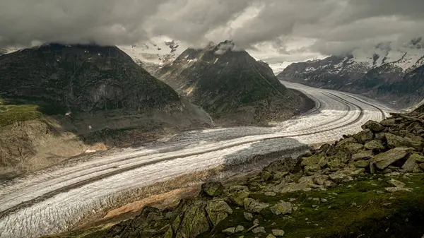 Büyük Aletsch Buzulu Sviçre Doğu Bernese Alpleri Sviçre Valais Kantonu — Stok fotoğraf