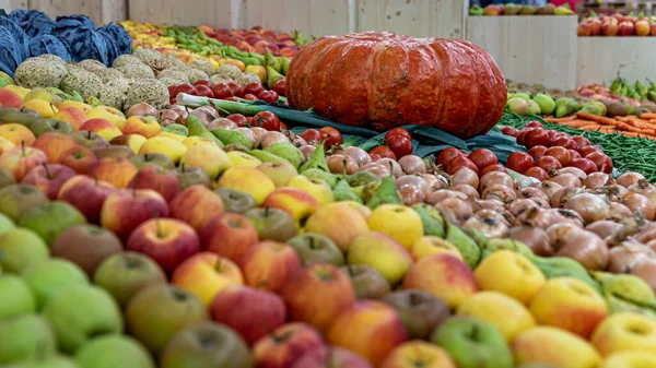 Válogatás Friss Gyümölcsök Zöldségek Piacon Őszi Szüret — Stock Fotó