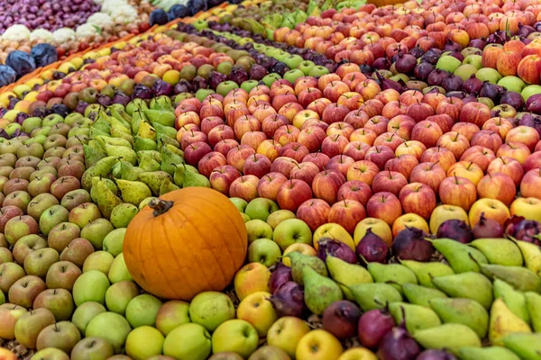 Friss Gyümölcsök Zöldségek Választéka Tökfej Alma Körte Hagyma Őszi Szüret — Stock Fotó