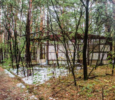 Çocuk yaz kampı Emerald, Ukrayna 'da patlayan nükleer enerji santrali Çernobil' in yakınında, SSCB 'nin eski bir parçası. 1986 'daki patlamadan sonra bölge insanlar için kapatıldı..