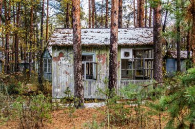 Çocuk yaz kampı Emerald, Ukrayna 'da patlayan nükleer enerji santrali Çernobil' in yakınında, SSCB 'nin eski bir parçası. 1986 'daki patlamadan sonra bölge insanlar için kapatıldı..