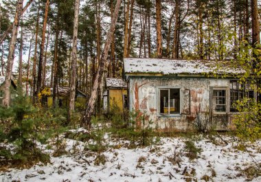 Çocuk yaz kampı Emerald, Ukrayna 'da patlayan nükleer enerji santrali Çernobil' in yakınında, SSCB 'nin eski bir parçası. 1986 'daki patlamadan sonra bölge insanlar için kapatıldı..