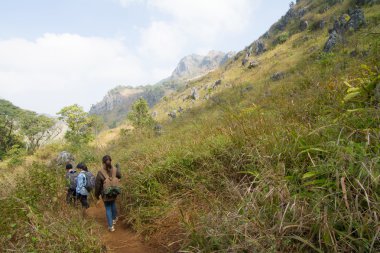 Kimliği belirsiz turizm çayır ormanda yürüyüş