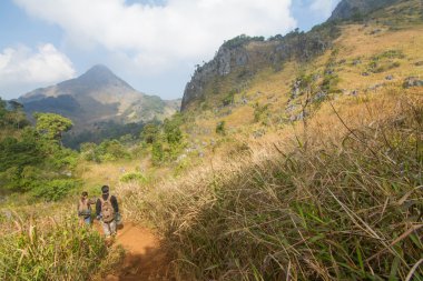 Kimliği belirsiz turizm çayır ormanda yürüyüş
