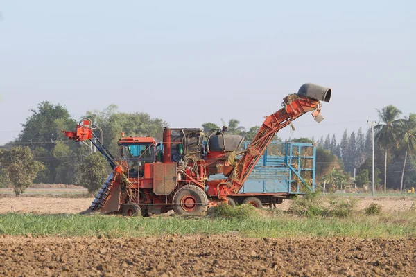 Sockerrör skördare och tio-wheel traktor — Stockfoto