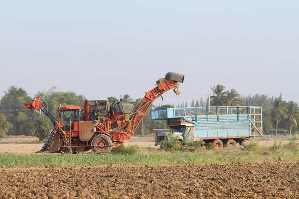 Sockerrör skördare och tio-wheel traktor — Stockfoto