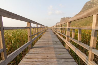 ahşap geçit dağ park çevresinde