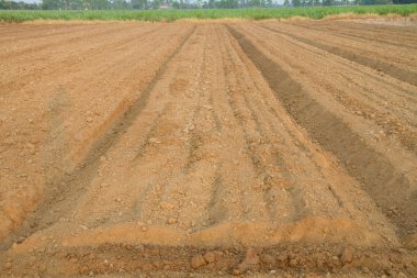 Bahçe için toprak pulluk