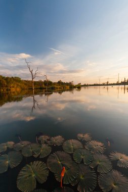 Göl Manzaralı günbatımı zamanında