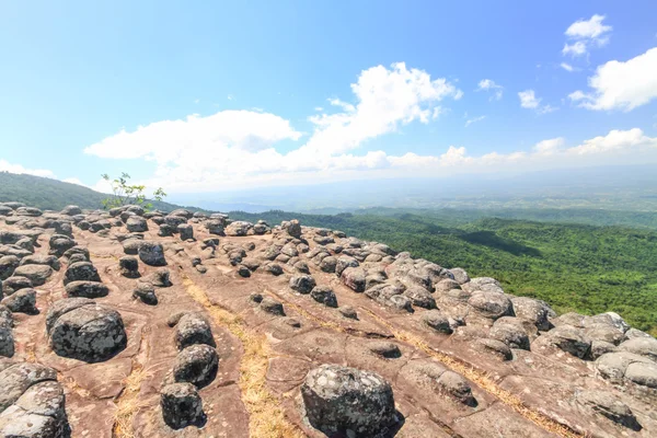 O chão de pedra botão — Fotografia de Stock