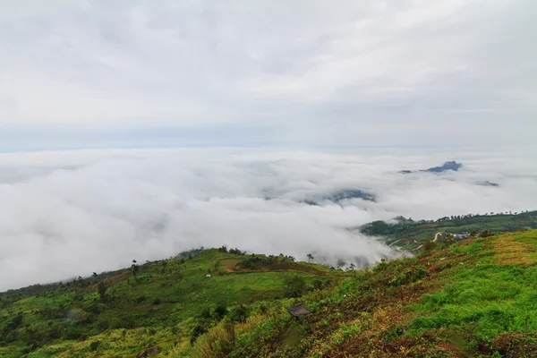 La niebla en la montaña — Foto de Stock