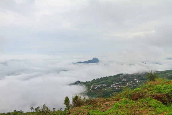 The mist at the mountain — Stock Photo, Image