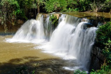 Ormanda güneş ışığı olan büyük bir şelale.
