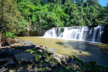 Ormanda güneş ışığı olan büyük bir şelale.