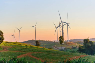 Rüzgar türbinleri günbatımında rüzgardan elektrik üretmek için park ederler.