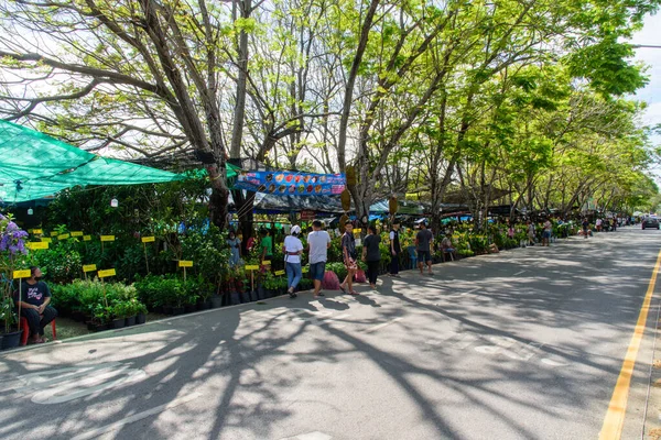 Nakhon Pathom Tailandia Diciembre 2020 Tienda Árboles Feria Agrícola Universidad — Foto de Stock