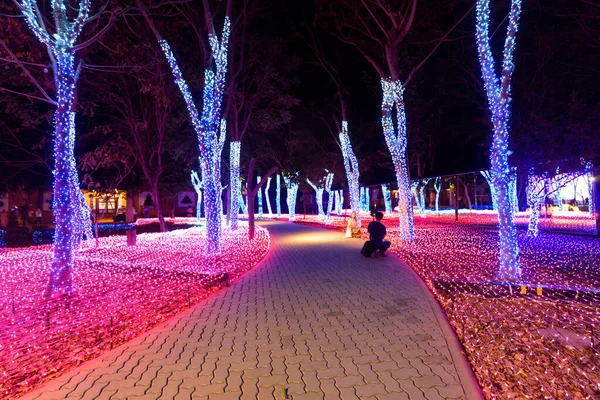 Rachaburi Tailândia Dezembro 2020 Festival Shows Iluminação Nasatta Park Com — Fotografia de Stock