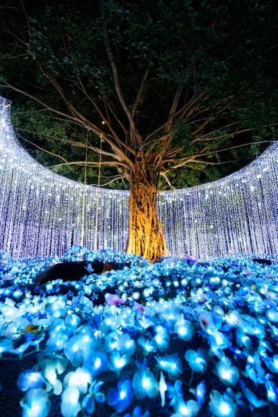 Iluminação Decorar Árvore Festival Iluminação Mostrando Evento Contagem Regressiva — Fotografia de Stock
