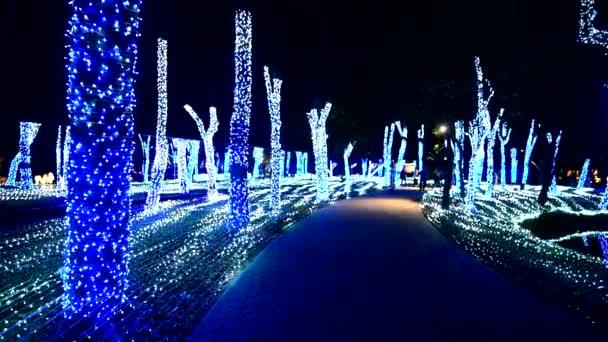 2013 Rachaburi Thailand Decemmber 2020 Lights Show Festival Nasatta Park — 비디오
