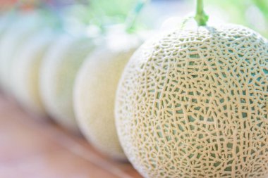 Tahta tabakta taze yeşil karpuza yakın.