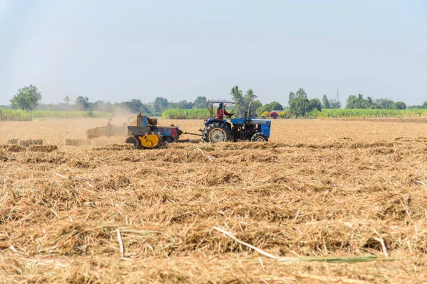 Sockerrörsblad Komprimeras Traktor Gamla Sockerrörsfält — Stockfoto