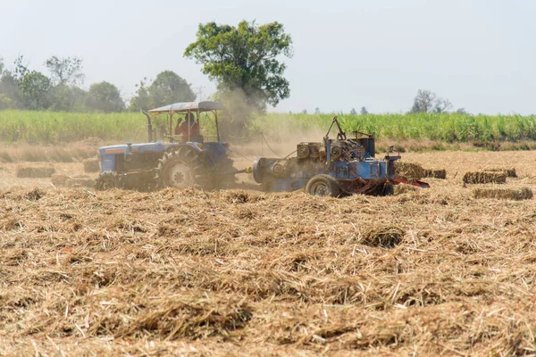 Compressão Folha Cana Açúcar Por Trator Antigo Campo Cana Açúcar — Fotografia de Stock