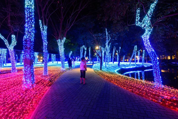 Rachaburi Tailândia Dezembro 2020 Festival Shows Iluminação Nasatta Park Com — Fotografia de Stock