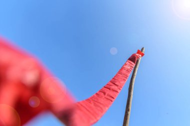 Mavili Havai fişekler