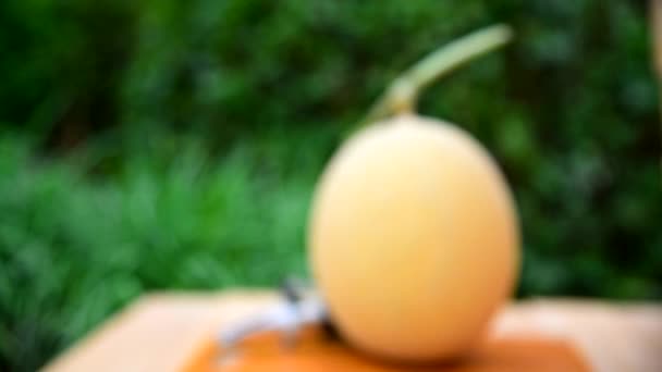 Frische Galia Melone Auf Holzteller Fokus — Stockvideo