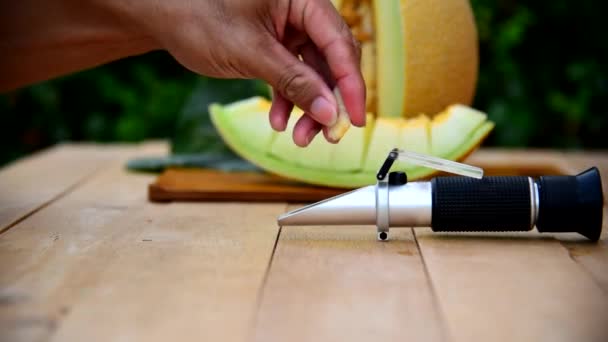 Solte Suco Melão Fresco Para Testar Nível Doce — Vídeo de Stock